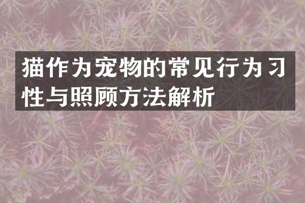 猫作为宠物的常见行为习性与照顾方法解析