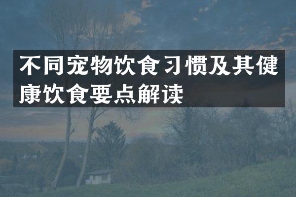 不同宠物饮食习惯及其健康饮食要点解读