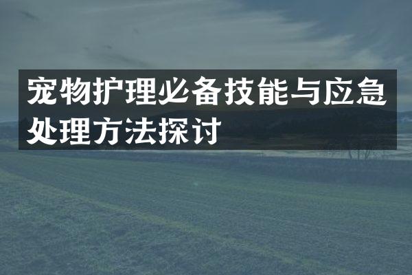 宠物护理必备技能与应急处理方法探讨
