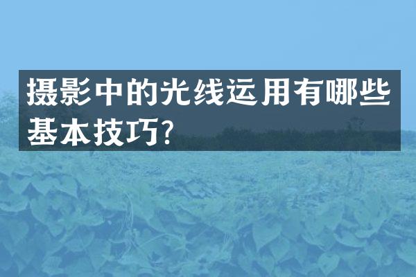 摄影中的光线运用有哪些基本技巧？