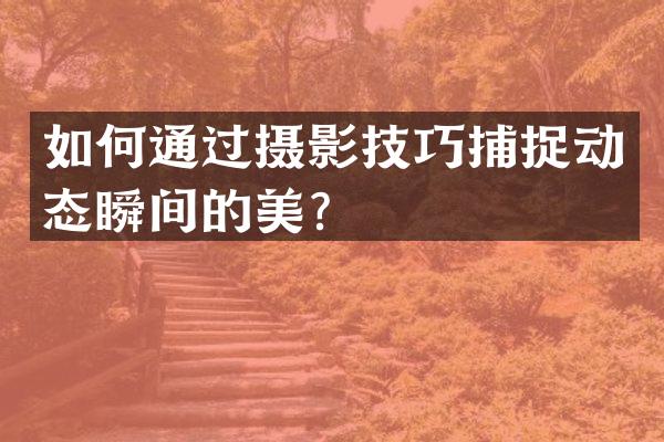 如何通过摄影技巧捕捉动态瞬间的美？