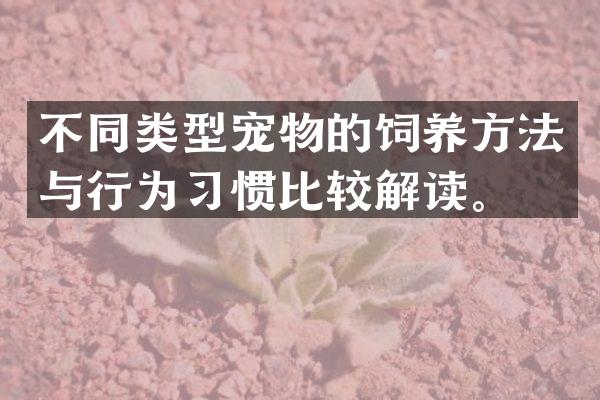 不同类型宠物的饲养方法与行为习惯比较解读。