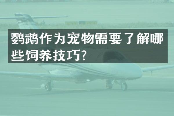 鹦鹉作为宠物需要了解哪些饲养技巧？