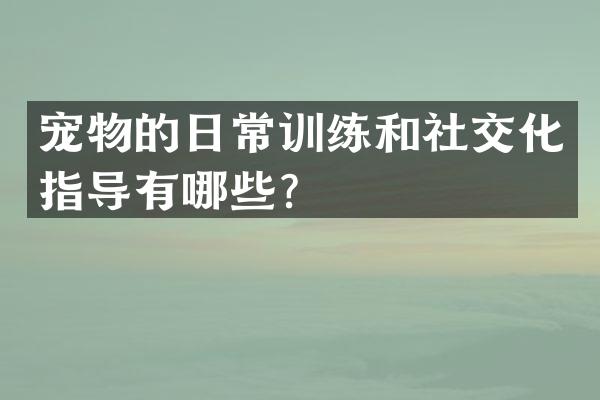 宠物的日常训练和社交化指导有哪些？