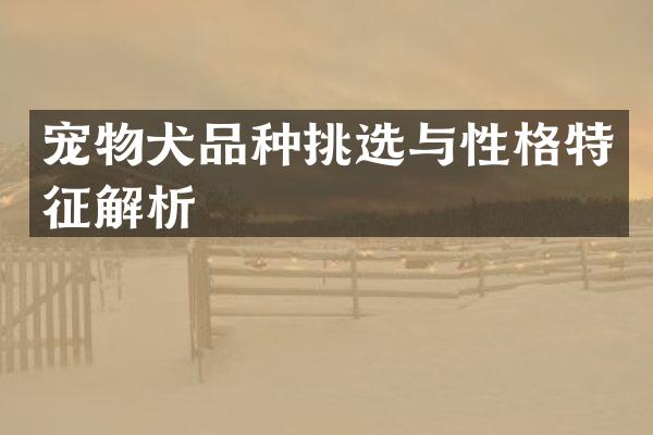 宠物犬品种挑选与性格特征解析