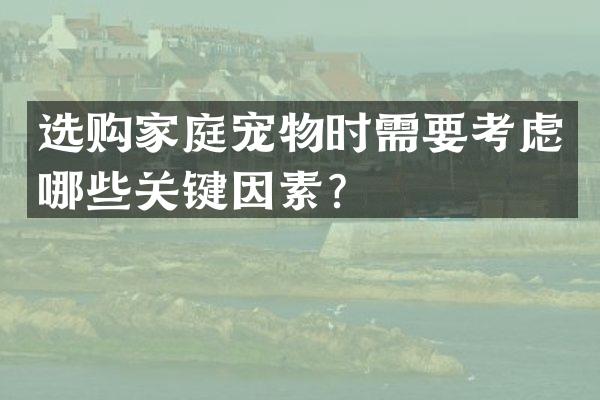 选购家庭宠物时需要考虑哪些关键因素？