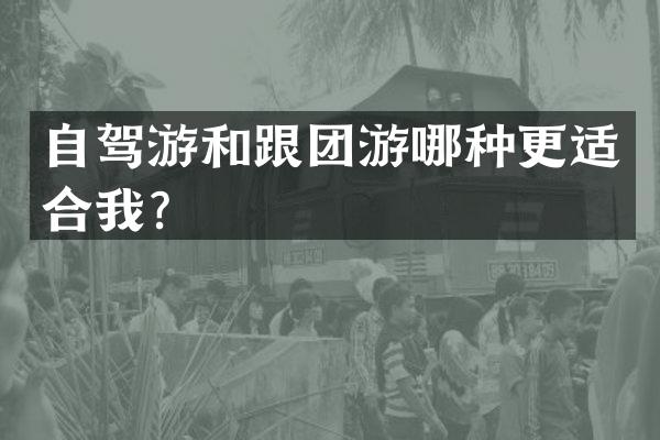 自驾游和跟团游哪种更适合我？