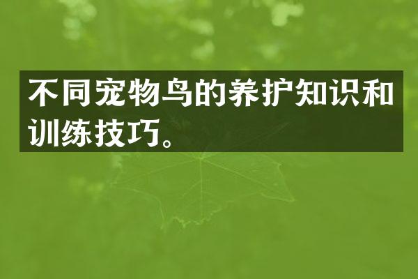 不同宠物鸟的养护知识和训练技巧。