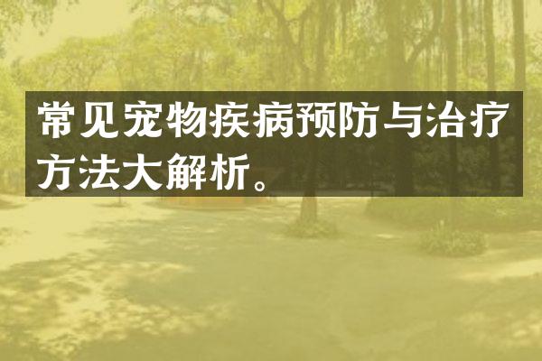 常见宠物疾病预防与治疗方法大解析。