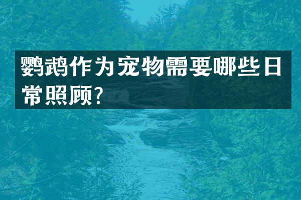 鹦鹉作为宠物需要哪些日常照顾？