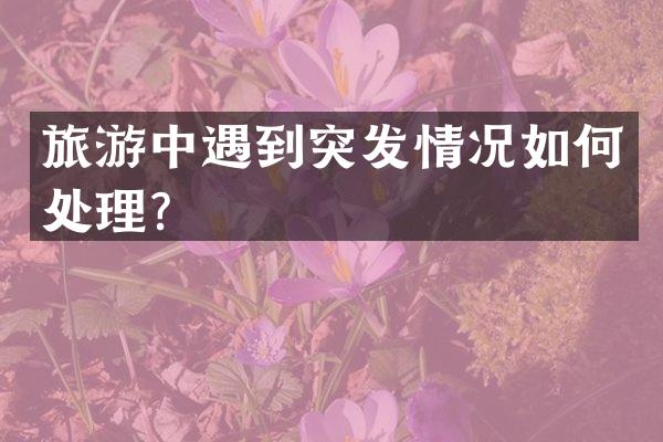 旅游中遇到突发情况如何处理？