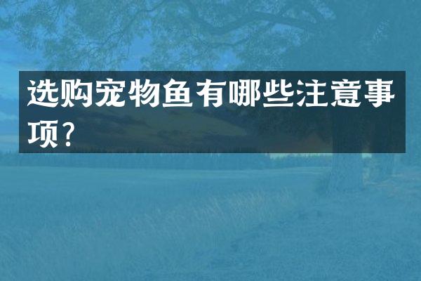 选购宠物鱼有哪些注意事项？