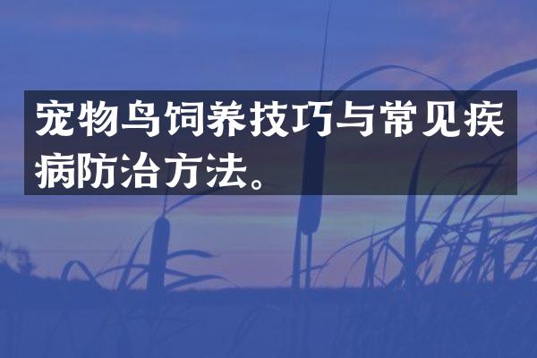 宠物鸟饲养技巧与常见疾病防治方法。