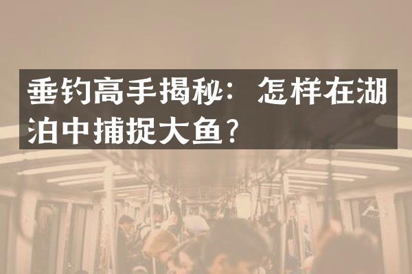垂钓高手揭秘：怎样在湖泊中捕捉大鱼？