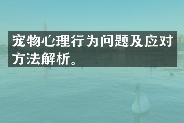宠物心理行为问题及应对方法解析。