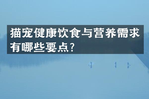 猫宠健康饮食与营养需求有哪些要点？