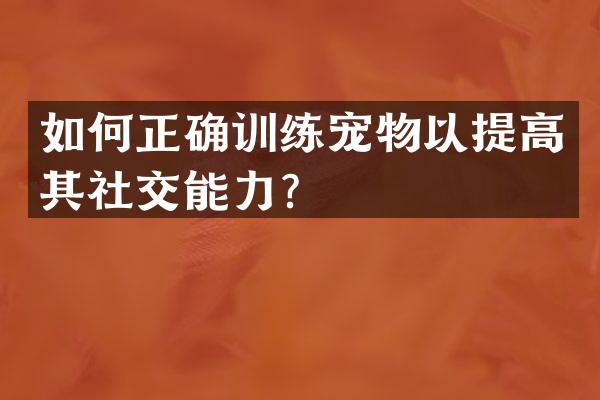 如何正确训练宠物以提高其社交能力？