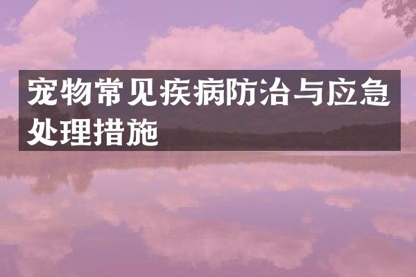 宠物常见疾病防治与应急处理措施