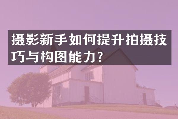 摄影新手如何提升拍摄技巧与构图能力？