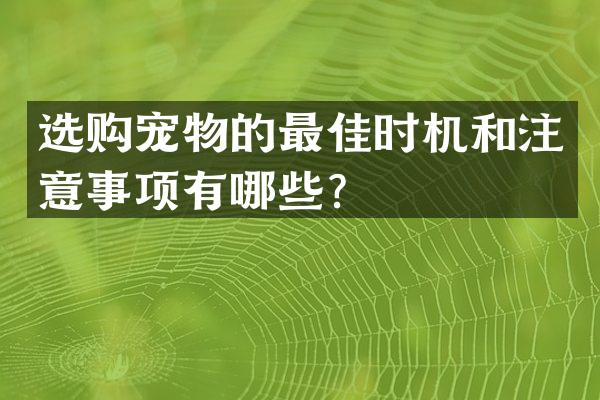选购宠物的最佳时机和注意事项有哪些？