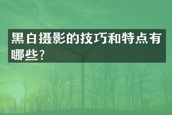 黑白摄影的技巧和特点有哪些？