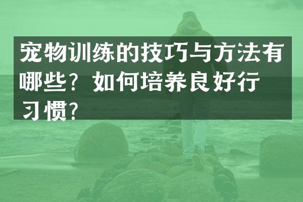 宠物训练的技巧与方法有哪些？如何培养良好行为习惯？