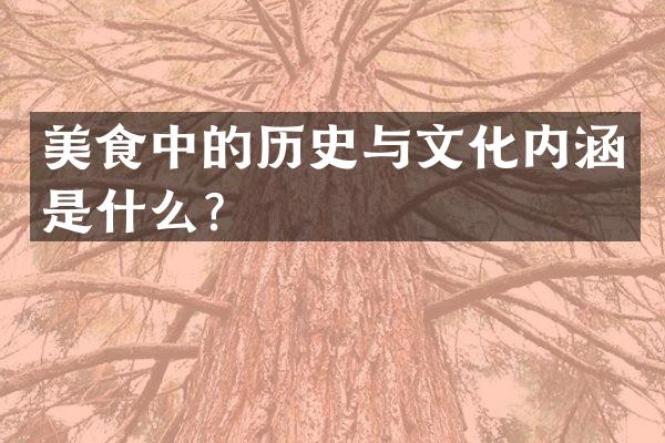 美食中的历史与文化内涵是什么?