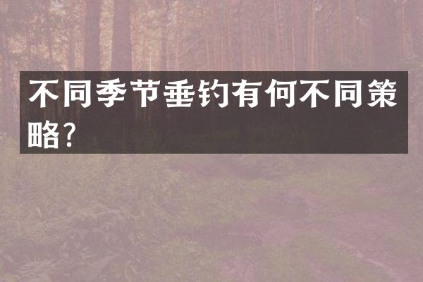 不同季节垂钓有何不同策略？