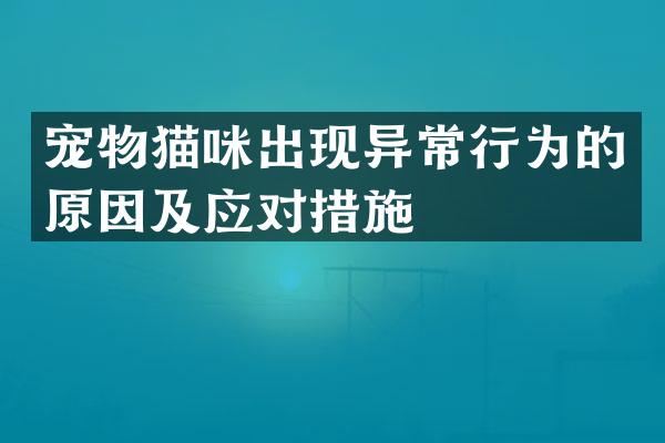 宠物猫咪出现异常行为的原因及应对措施