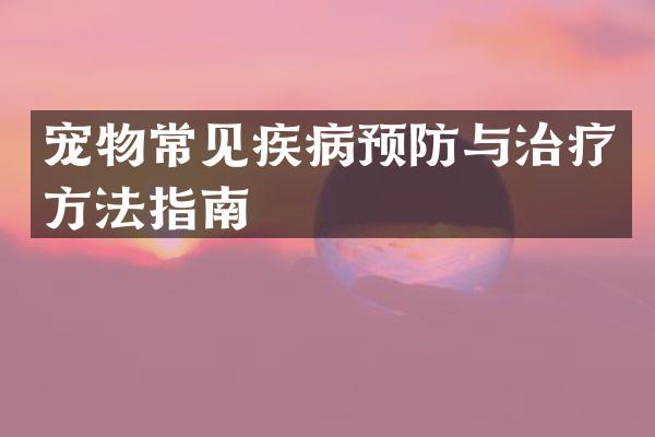 宠物常见疾病预防与治疗方法指南