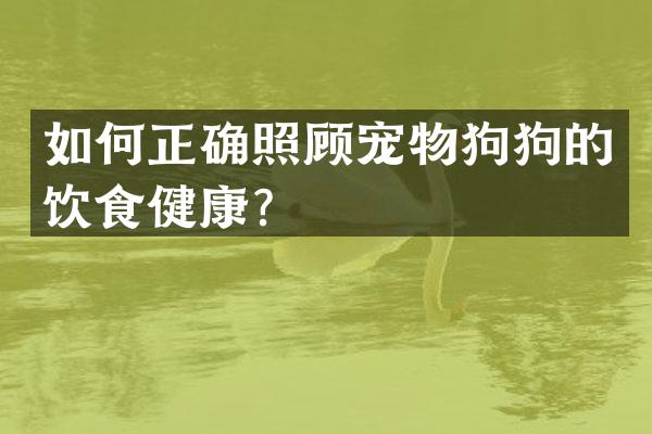 如何正确照顾宠物狗狗的饮食健康？