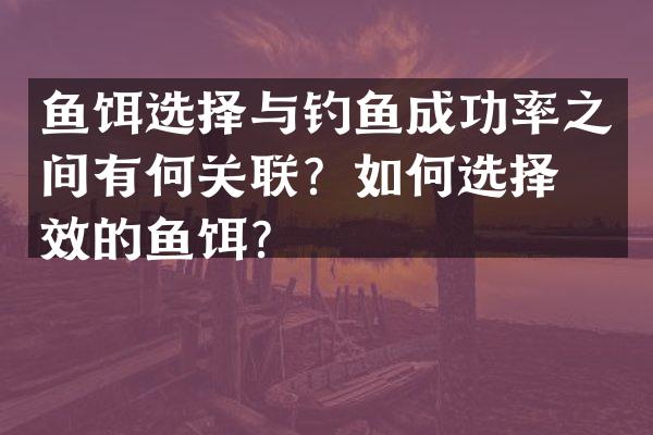 鱼饵选择与钓鱼成功率之间有何关联？如何选择有效的鱼饵？