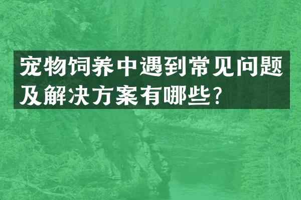 宠物饲养中遇到常见问题及解决方案有哪些？