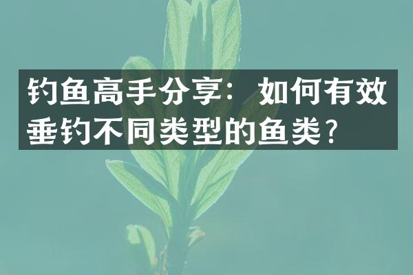 钓鱼高手分享：如何有效垂钓不同类型的鱼类？