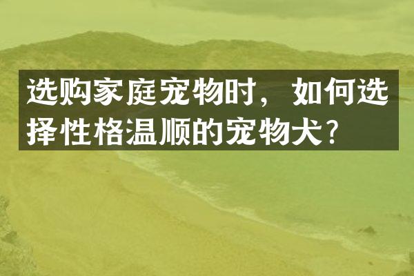 选购家庭宠物时，如何选择性格温顺的宠物犬？