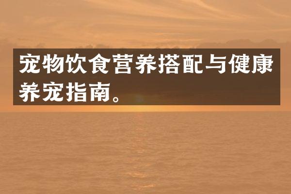 宠物饮食营养搭配与健康养宠指南。