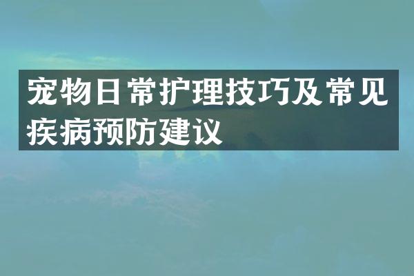 宠物日常护理技巧及常见疾病预防建议