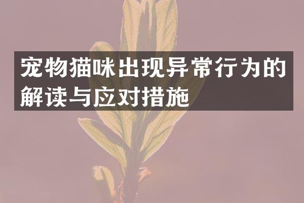 宠物猫咪出现异常行为的解读与应对措施