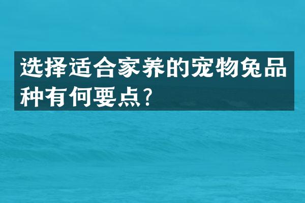 选择适合家养的宠物兔品种有何要点？