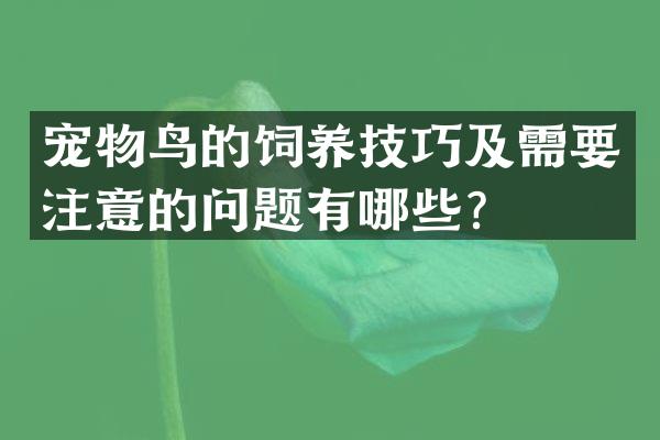 宠物鸟的饲养技巧及需要注意的问题有哪些？