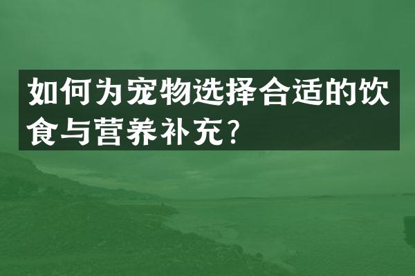 如何为宠物选择合适的饮食与营养补充？