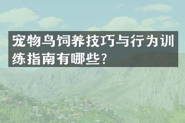 宠物鸟饲养技巧与行为训练指南有哪些？