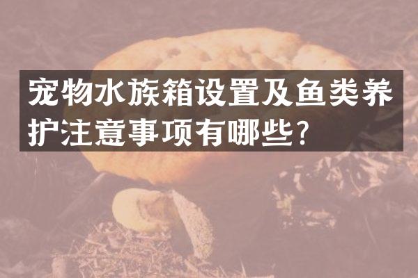 宠物水族箱设置及鱼类养护注意事项有哪些？