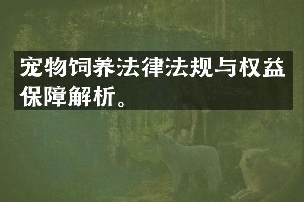 宠物饲养法律法规与权益保障解析。
