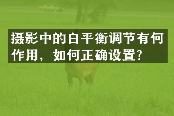 摄影中的白平衡调节有何作用，如何正确设置？