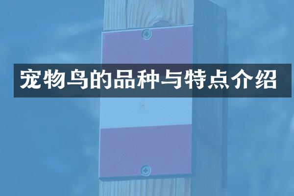 宠物鸟的品种与特点介绍