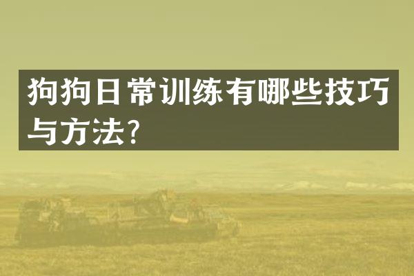 狗狗日常训练有哪些技巧与方法？