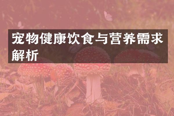 宠物健康饮食与营养需求解析