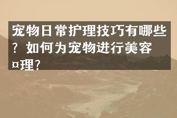 宠物日常护理技巧有哪些？如何为宠物进行美容护理？