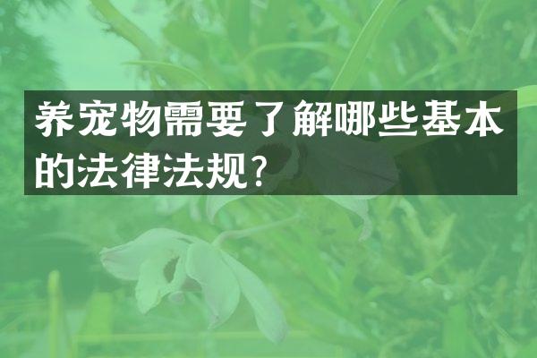 养宠物需要了解哪些基本的法律法规？